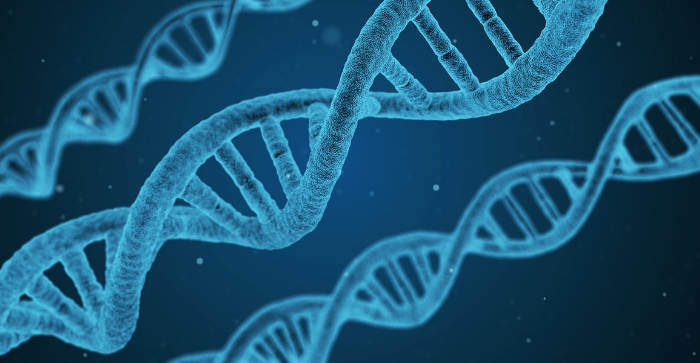 Using DNA to Find Your Mexican Ancestors and Distant Cousins